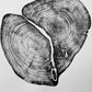 Waco Texas Cedar - 18x24 print lintonart