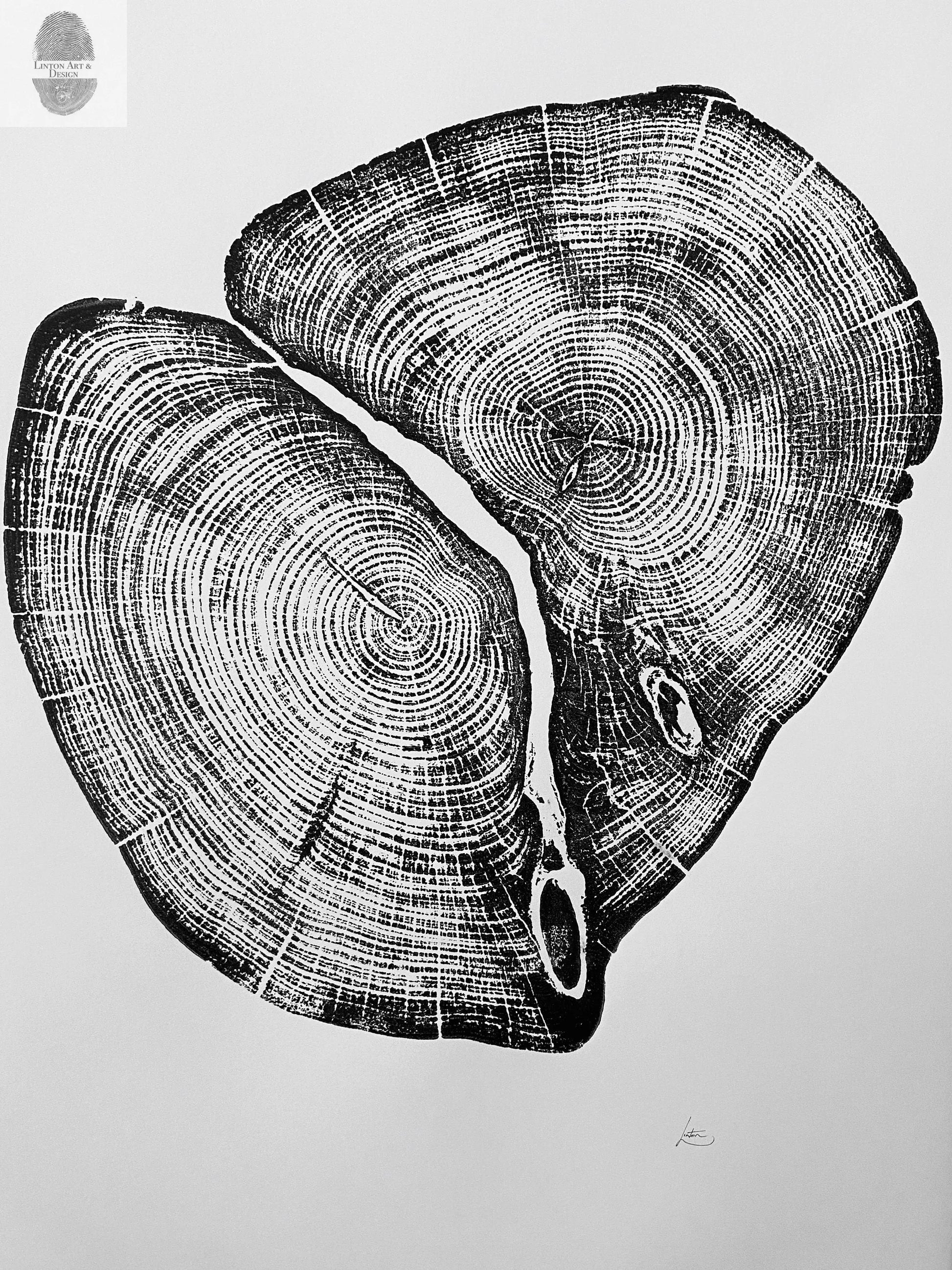 Waco Texas Cedar - 18x24 print lintonart