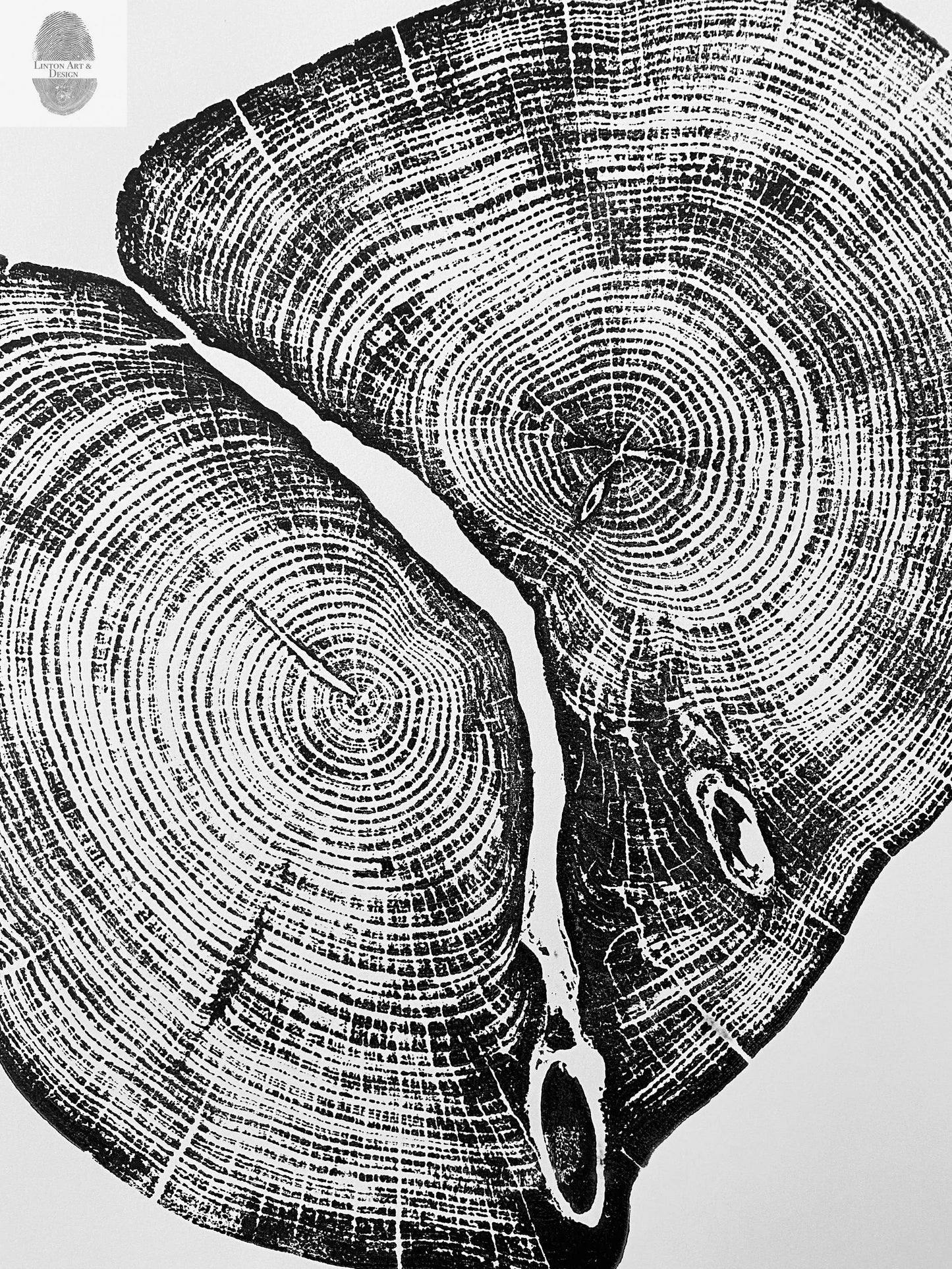 Waco Texas Cedar - 18x24 print lintonart