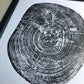Waco, Texas Pecan - 18x24 print lintonart