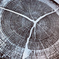 Walden Pond, Massachusetts Oak - 18x24 print lintonart