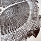 Walden Pond, Massachusetts Oak - 18x24 print lintonart