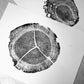 Waldon Pond, Massachusetts Locust - 18x24 print lintonart