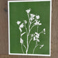 Wild Fennel Hand Pressed Botanical Monotype Print - Original Print 14 3/4 x19 inches lintonart