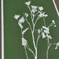 Wild Fennel Hand Pressed Botanical Monotype Print - Original Print 14 3/4 x19 inches lintonart