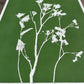Wild Fennel Hand Pressed Botanical Monotype Print - Original Print 14 3/4 x19 inches lintonart