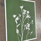 Wild Fennel Hand Pressed Botanical Monotype Print - Original Print 14 3/4 x19 inches lintonart