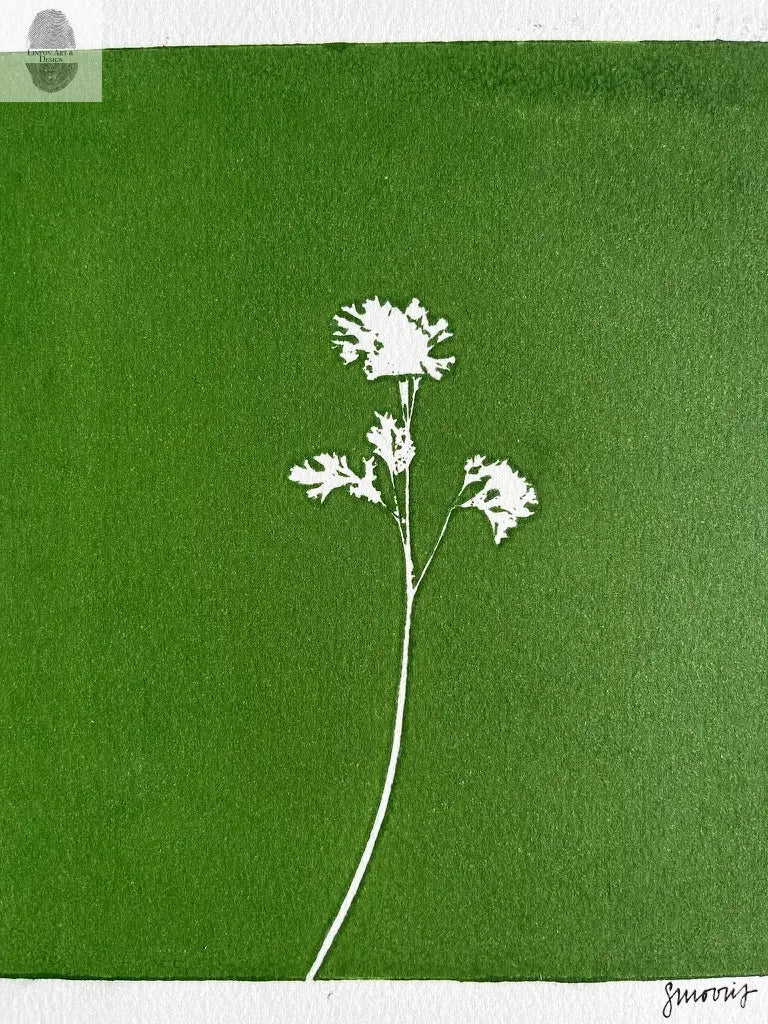 Wild Flower Hand Pressed Botanical Monotype on Green - Original Print 8x8 inches lintonart