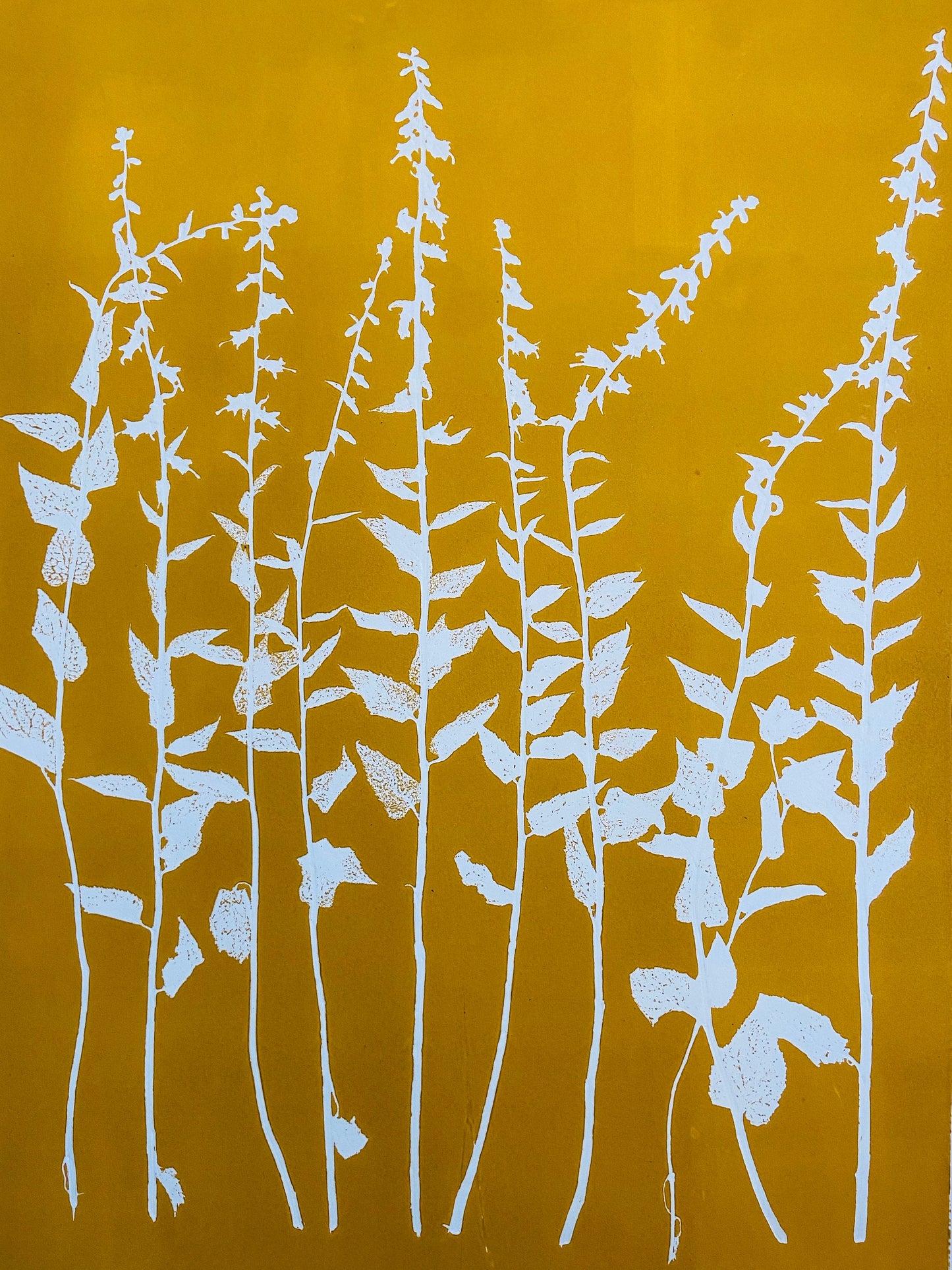 Wild Flowers Hand Pressed Botanical Monoprint on Yellow Gold - giclee print