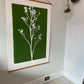 Wild Weeds Hand Pressed Monoprint on Green - giclee print lintonart