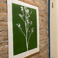 Wild Weeds Hand Pressed Monoprint on Green - giclee print lintonart