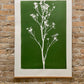 Wild Weeds Hand Pressed Monoprint on Green - giclee print lintonart