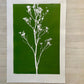 Wild Weeds Hand Pressed Monoprint on Green - giclee print lintonart