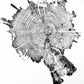 Yellowstone Pine II - 18x24 print lintonart