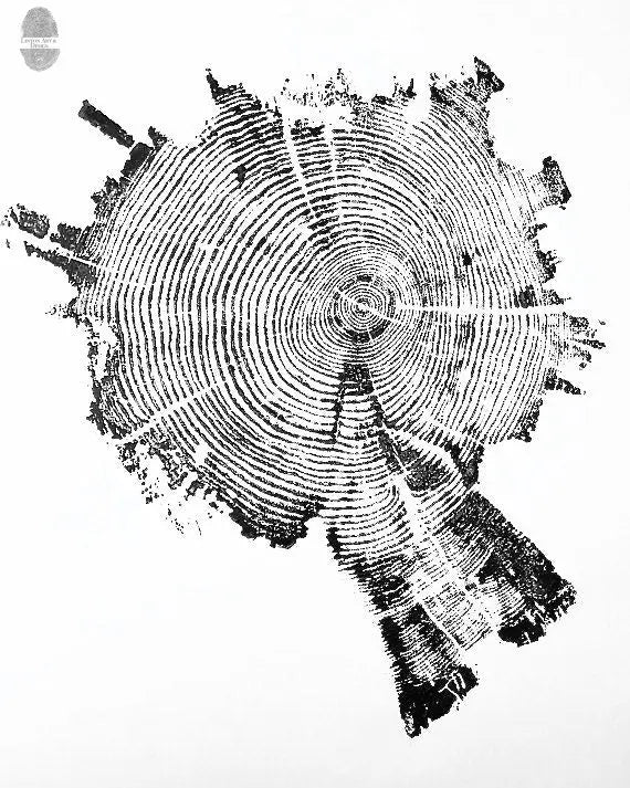 Yellowstone Pine II - 18x24 print lintonart