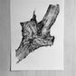 Yellowstone, Woodcut print, Lumber, National Park Art, Wood burning art, Live edge, Modern botanical, Forestry, Signed Original lintonart