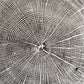 York, Maine Oak - 18x24 print lintonart