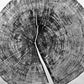 Yosemite National Park, California Pine - 36x36 print lintonart