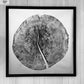 Yosemite National Park, California Pine - 36x36 print lintonart