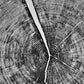 Yosemite National Park, California Pine - 36x36 print lintonart