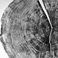 Yosemite National Park, California Pine - 36x36 print lintonart