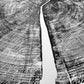 Yosemite National Park, California Pine - 36x36 print lintonart