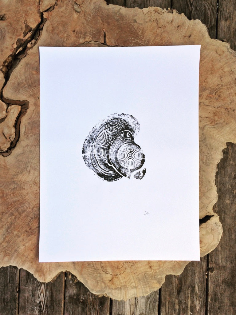 Millcreek Canyon, Utah Pine - 18x24 print