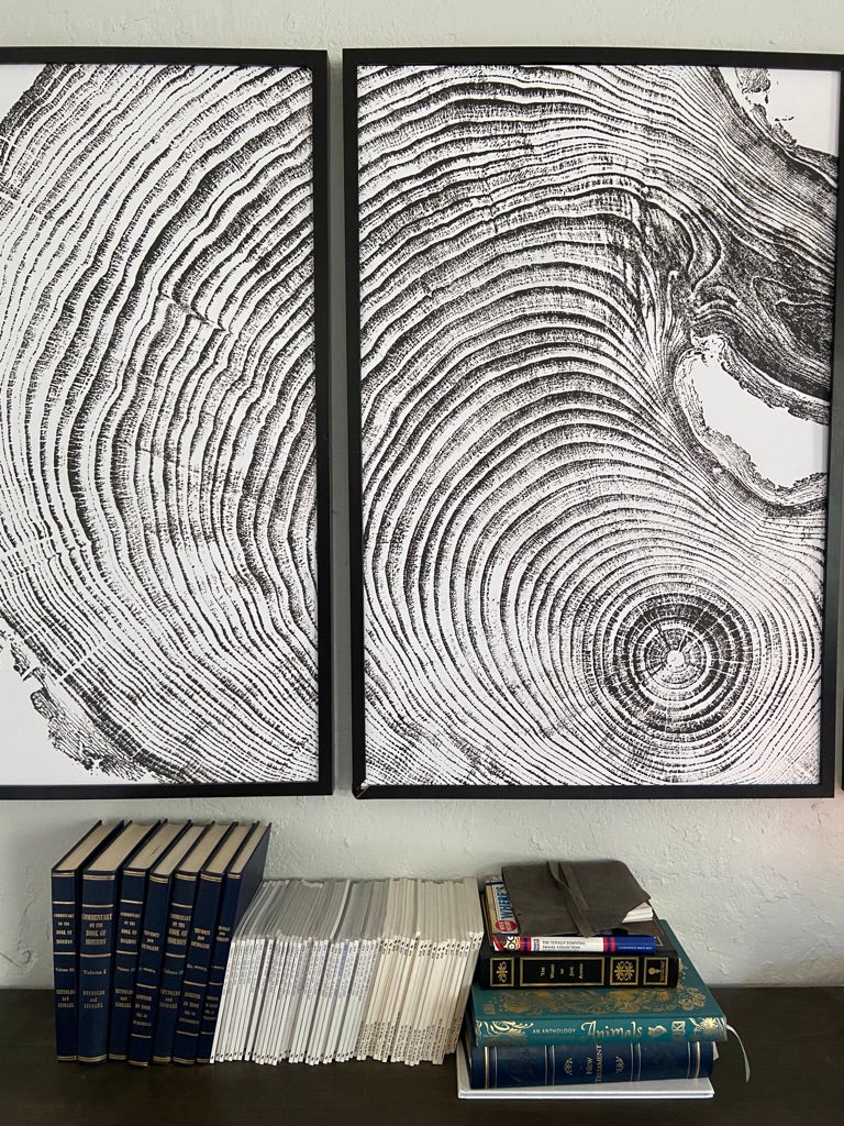 Los Angeles, California Pine Triptych - 3 24x36 inch giclee prints