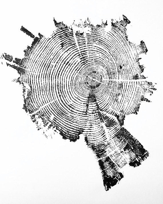 Yellowstone Pine II - 18x24 print