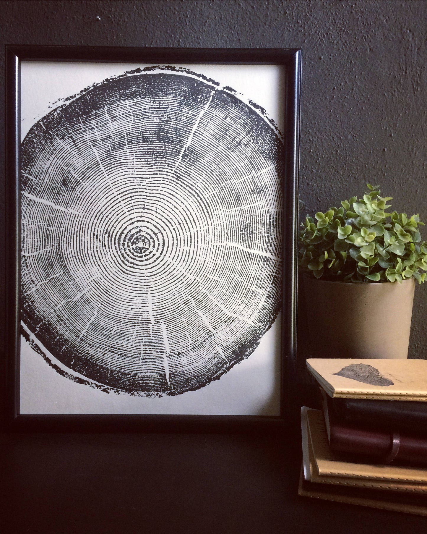 Set of 9 Tree Ring Prints - 12x16 each