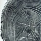 Ohio State, Ash Tree, Tree ring print, woodcut print, Lumber, Live edge, Biology Gifts, Arborist, Signed Original - 24x36 print