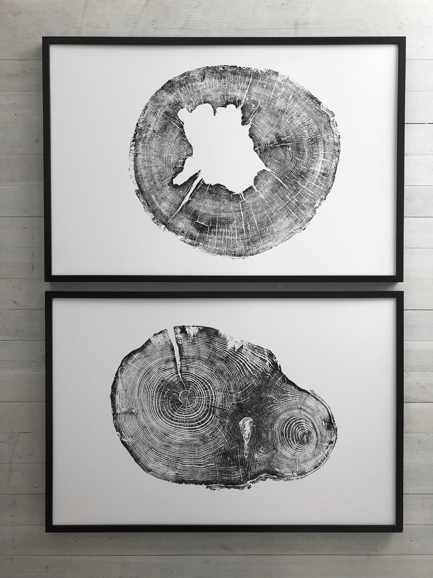 Iowa Oak & Puget Sound Hemlock Set of 2 - 24x36 each print