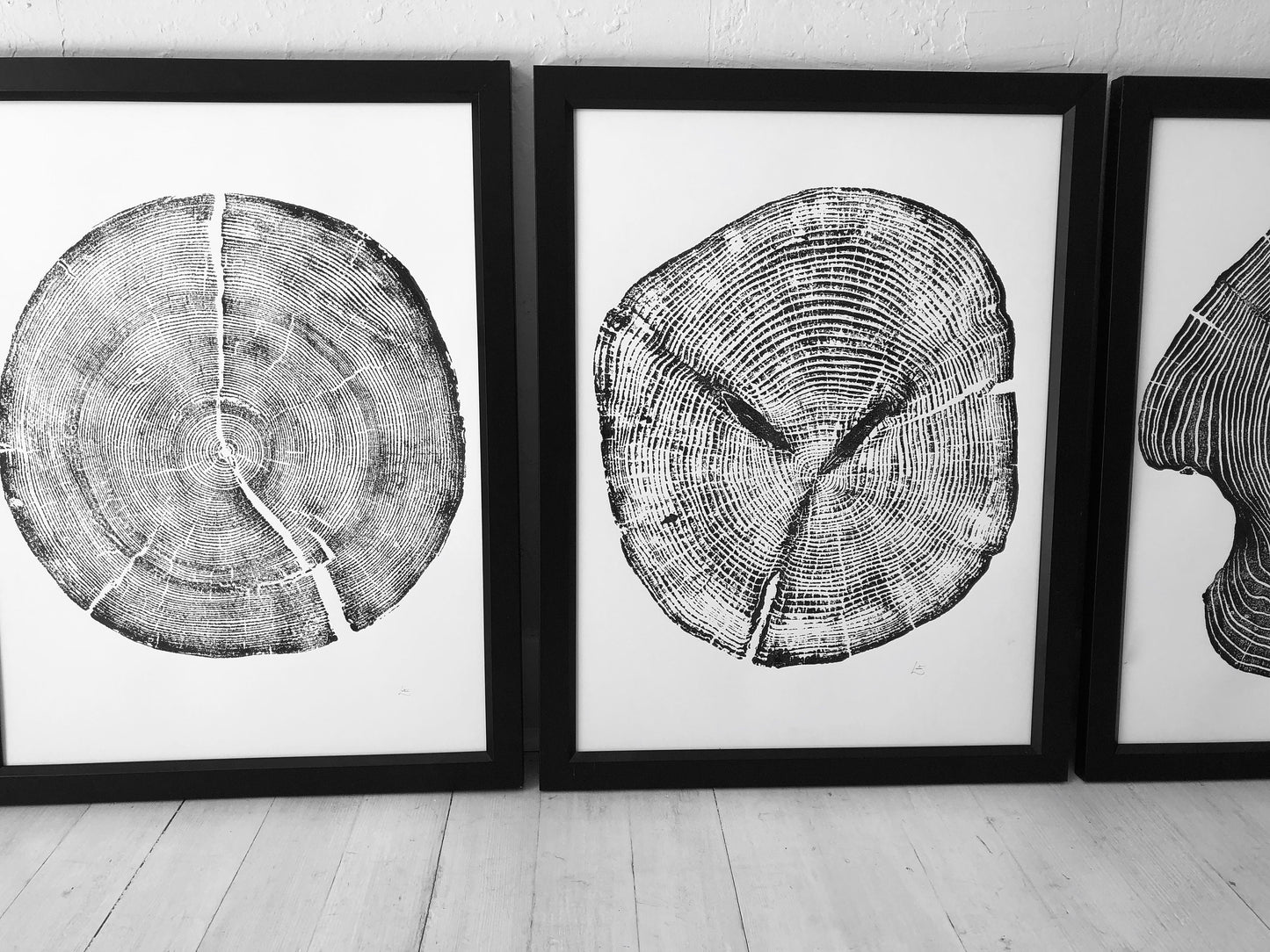 Cedar, Mulberry, & Pine Triptych - 18x24 each print