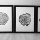 Alaska, Tetons & Yellowstone Tree Rings Triptych - 18x24 each print
