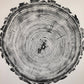 Denver Art, Rocky Mountains, Pine Tree Art, Tree ring Print, Woodcut Print