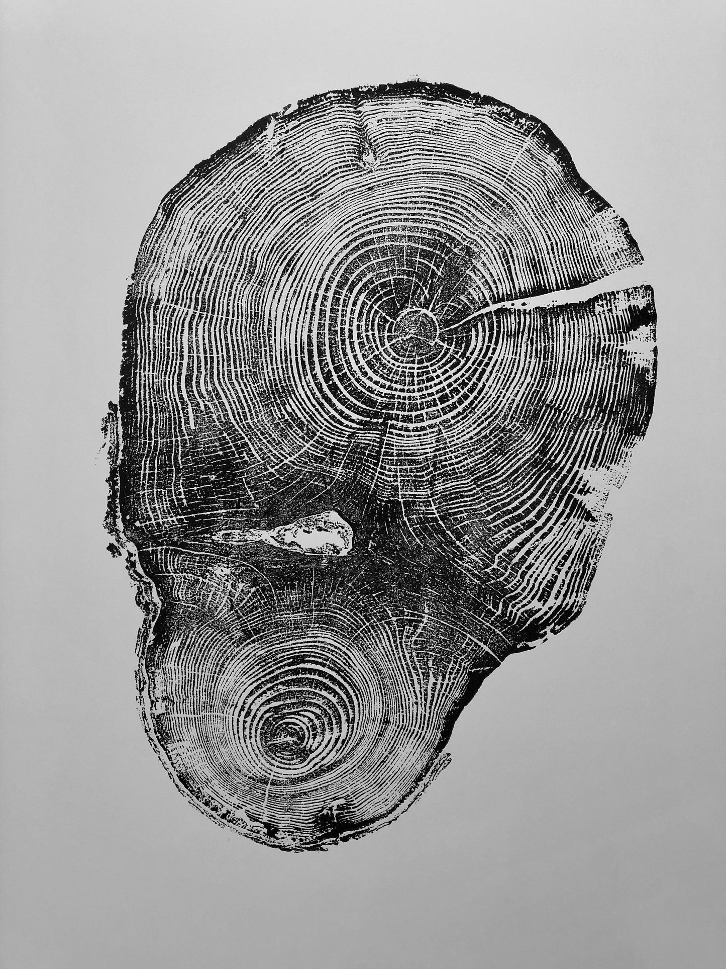 Oak, Pine, & Hemlock Set of 4 - 24x36 each print