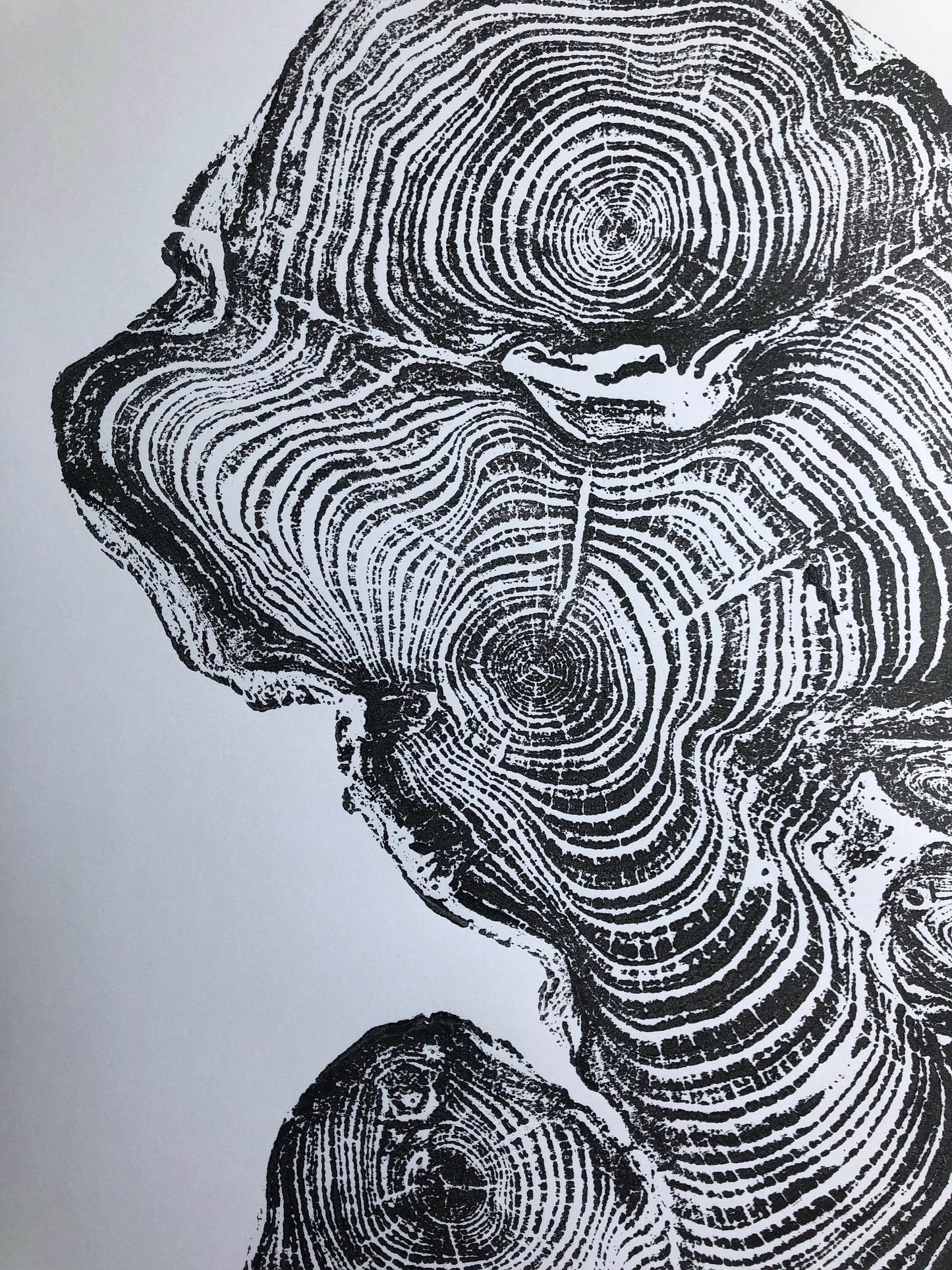 Ireland Cypress - 18x24 print