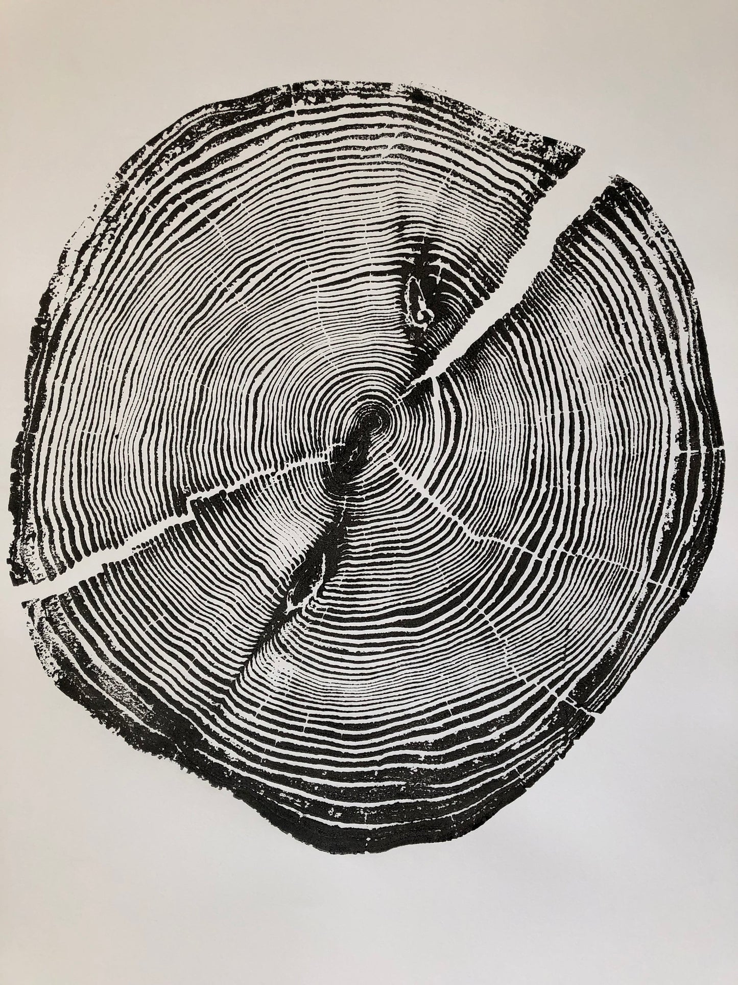 Lake Superior, Michigan Driftwood Pine - 18x24 print
