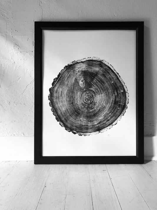 Maine Print, Balm of Gilead, Tree ring print, Maine Poster, Arcadia, Arborist, Forestry, Live Edge wood, Signed original