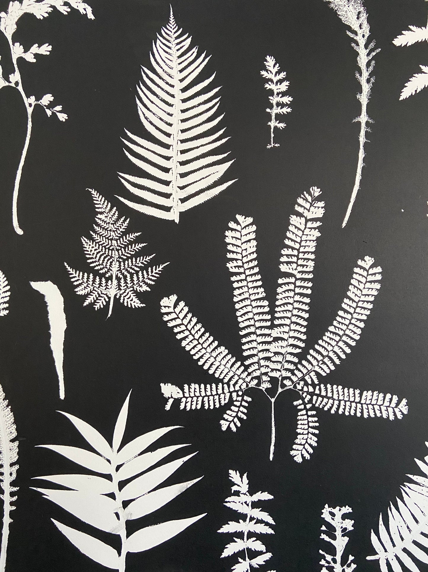Ferns and Leaves Collage II Hand Pressed Monoprint - 24x36 giclee print