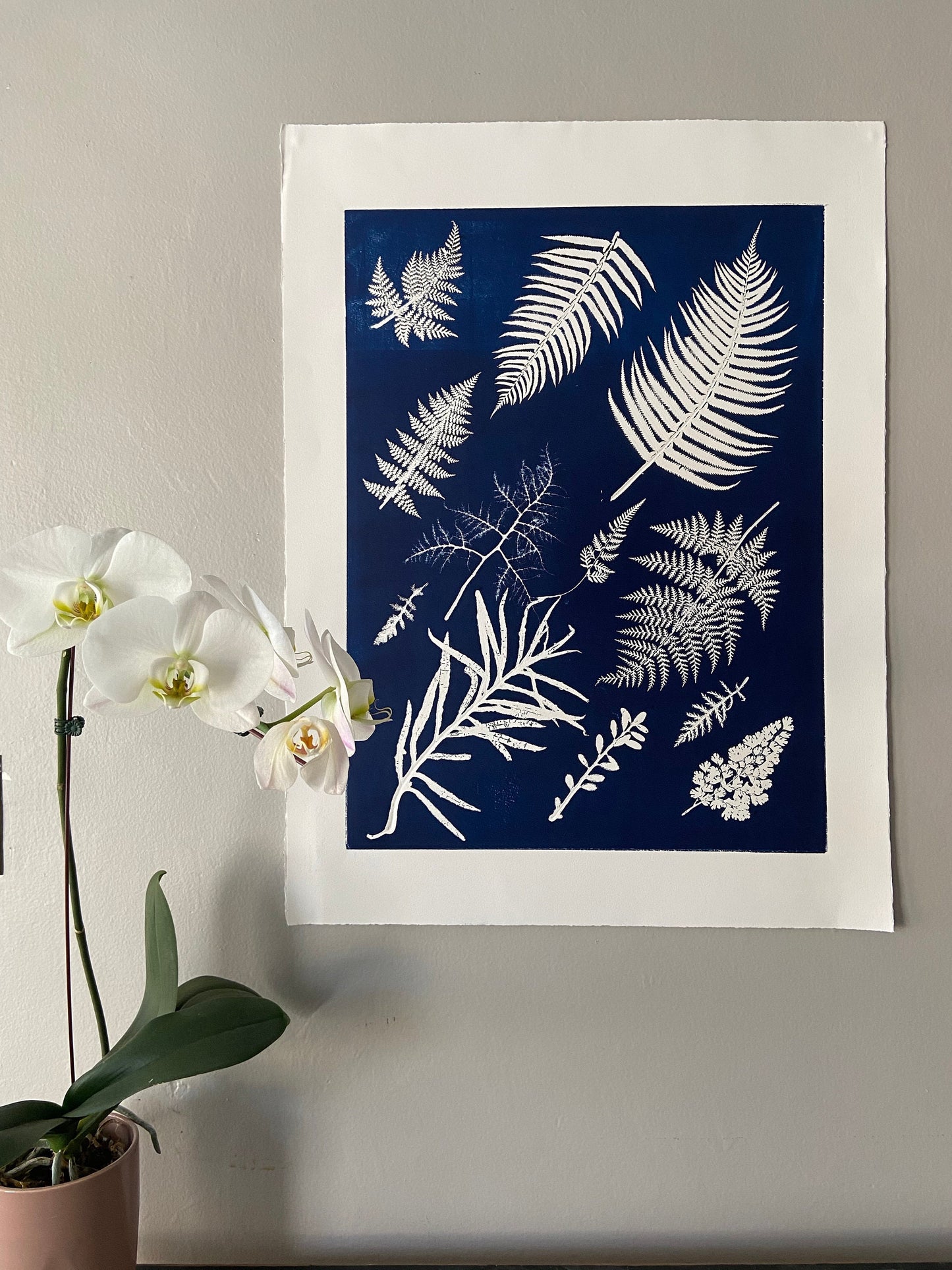 Ferns Collage Hand Pressed Botanical Monoprint on Blue - 18x24 giclee print