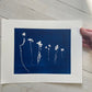 Sapplings and Roots Hand Pressed Botanical Monoprint on Blue - 11x14 giclee print