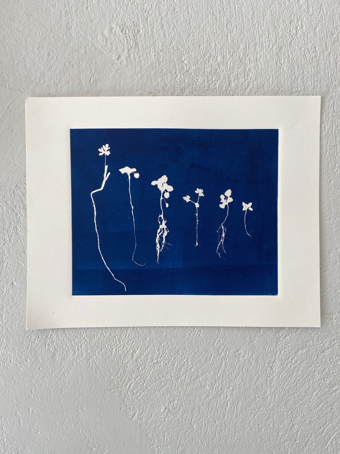 Sapplings and Roots Hand Pressed Botanical Monoprint on Blue - 11x14 giclee print