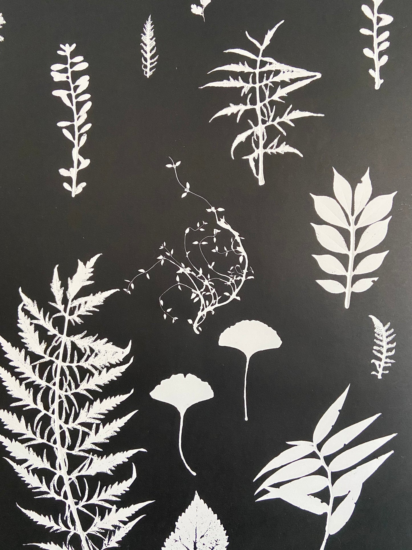 Ferns and Leaves Hand Pressed Botanical Monoprint on Black Set of 3 - 24x36 each giclee print