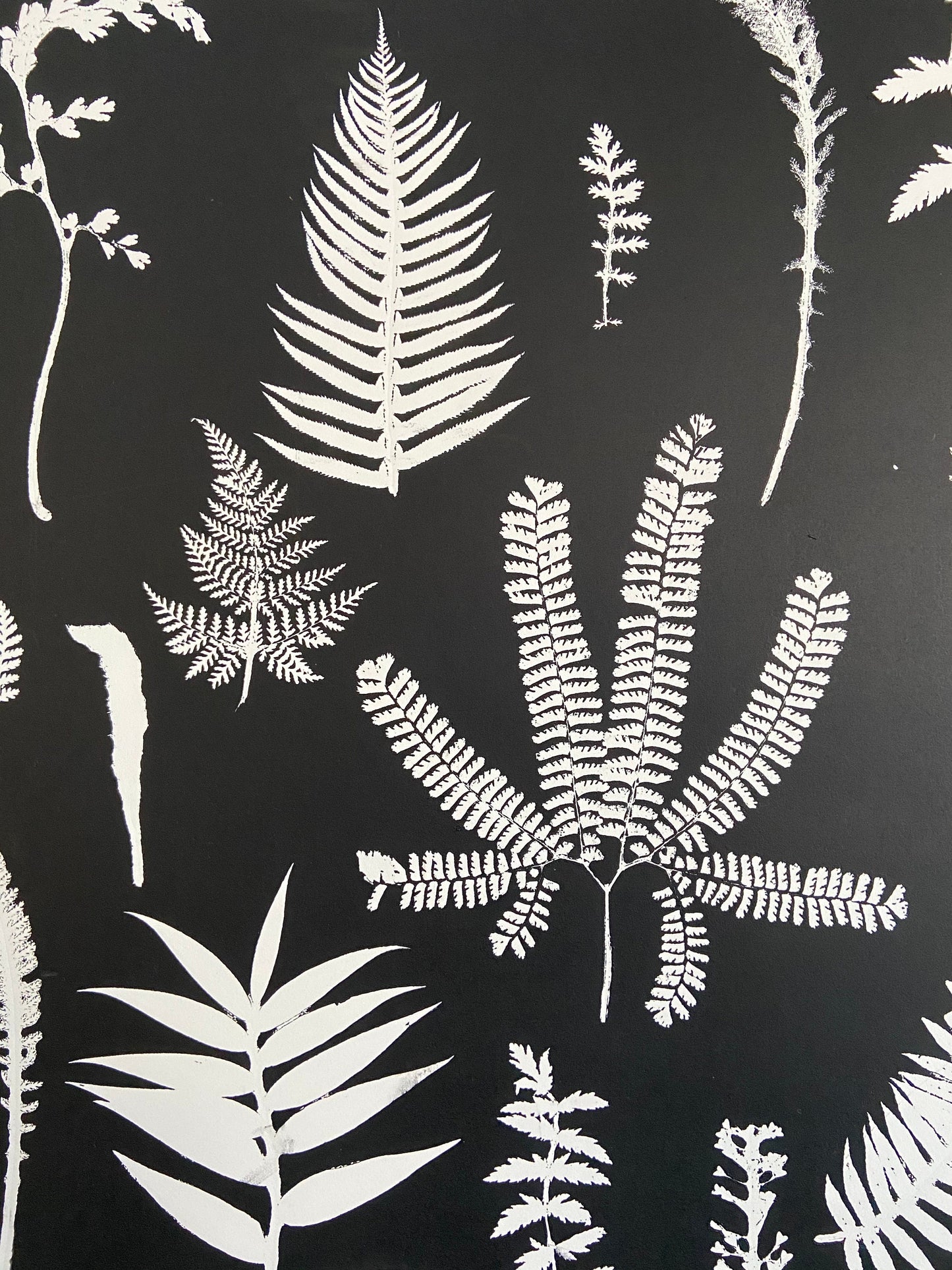 Ferns and Leaves Hand Pressed Botanical Monoprint on Black Set of 3 - 24x36 each giclee print