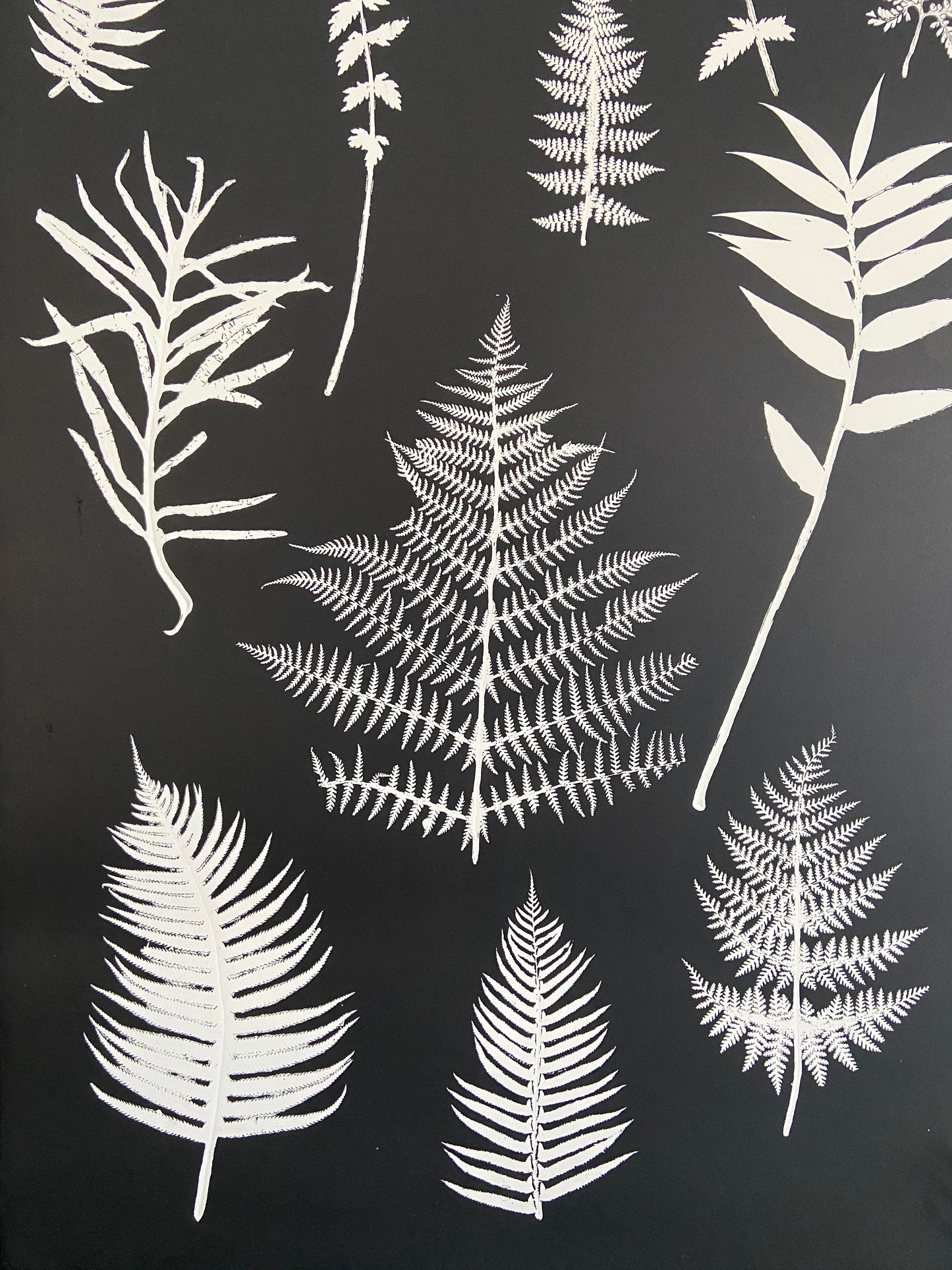 Ferns and Leaves Hand Pressed Botanical Monoprint on Black Set of 3 - 24x36 each giclee print