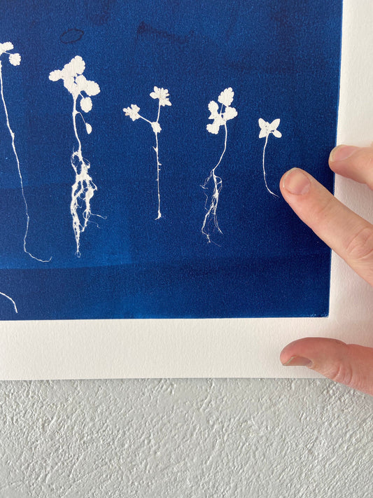 Sapplings and Roots Hand Pressed Botanical Monoprint on Blue - 11x14 giclee print