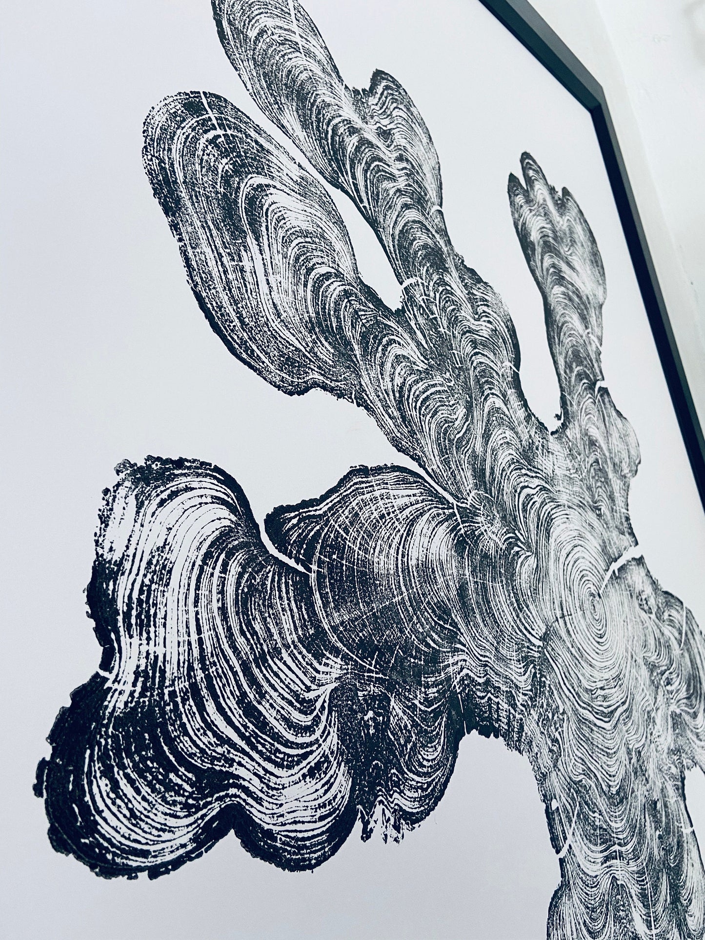 Florida Cypress - 36x36 print
