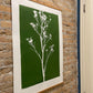 Wild Weeds Hand Pressed Monoprint on Green - giclee print