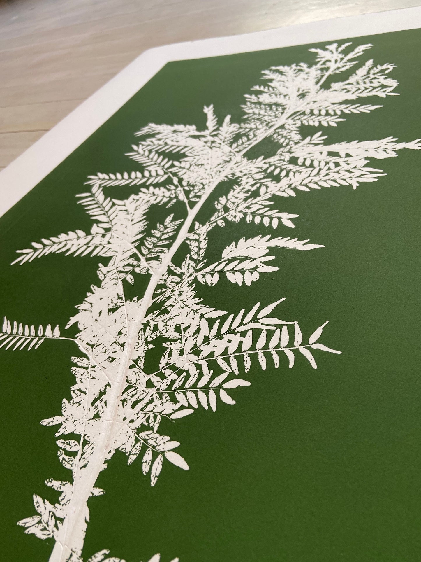 Locust Branch Hand Pressed Monoprint on Green - giclee print